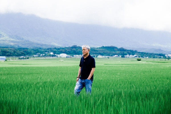 池上駐留｜
蔣勳畫池上，
一田一水反映內心澎湃風景
