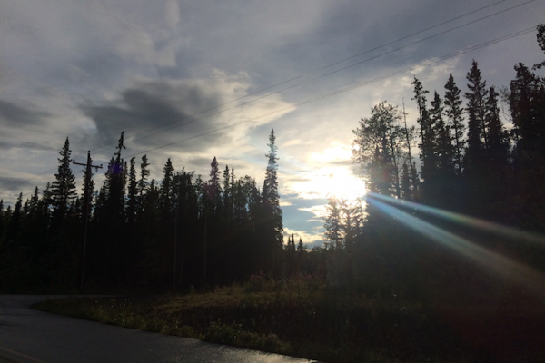 幾乎沒有天黑的地方｜比浪漫更難忘！夏季的州鳥之吻