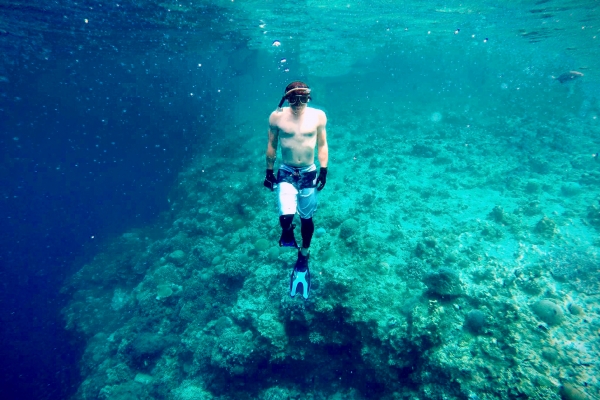 夏季徵才:
水深火熱,需要設計助理!(已截止)