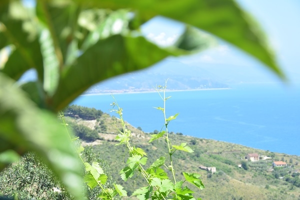 獻給地獄廚房的情書|不存在的義大利菜:漁夫午餐「鹽水」