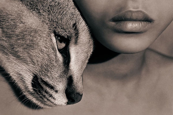 動物溝通中的語言哲學(二):
語言哲學的觀點