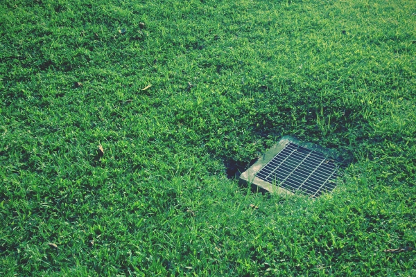 吟遊的地球人|地洞