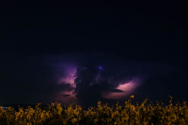 老娘今年三十八|去你媽的 2016