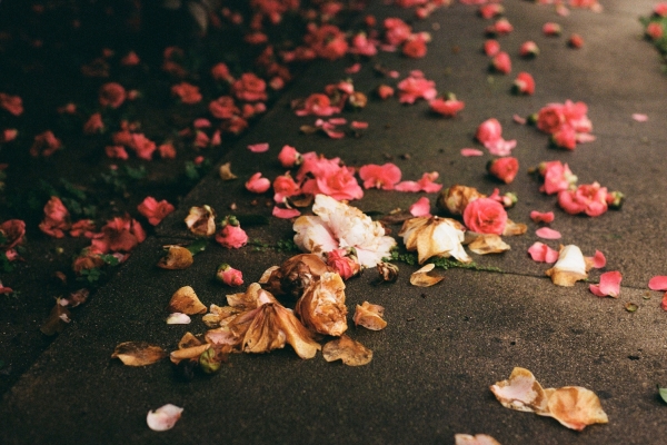 Surely, but Slowly|火