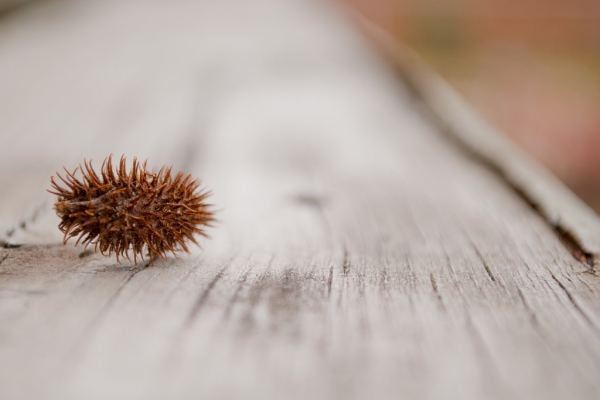 老娘今年三十八|那些如指甲刮黑板的龜毛