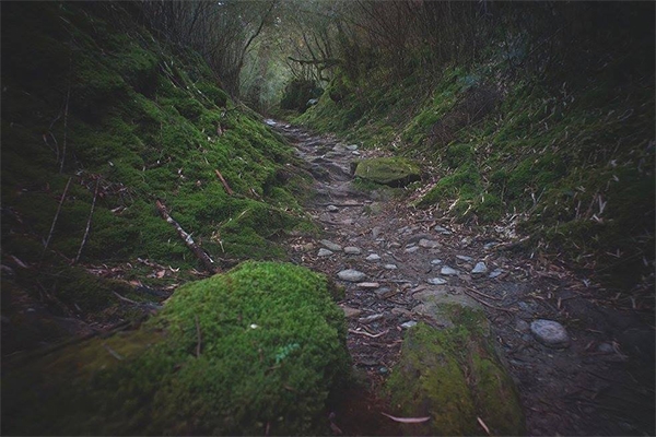 魔神仔人類學：「他們」來自我們的集體潛意識