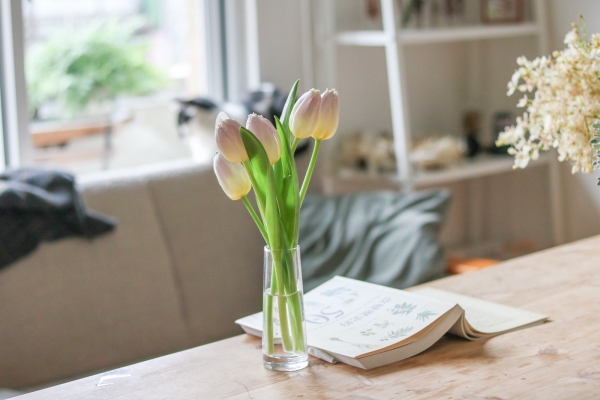 一隅有花|鬱金香:花的精靈,投射出人的慾望