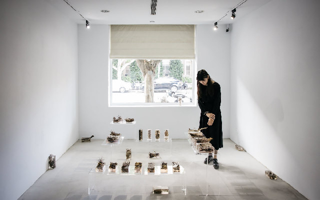 家是島嶼，也是宇宙——那些凝視「共生之所」的創作眼光