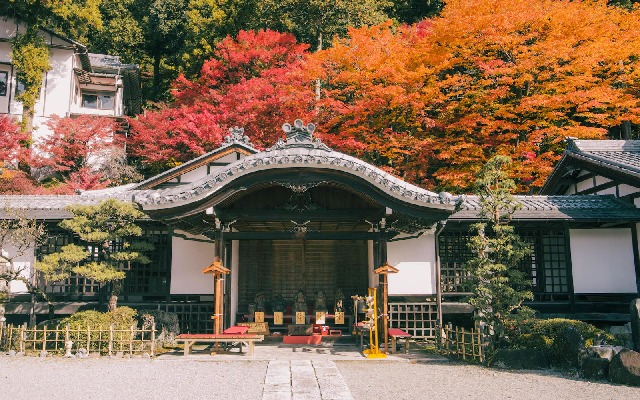 有時真的只想什麼也不做——深秋的北陸飛驒，遠離的意義
