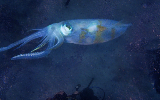 潛水深度 18.8 米——等等最重要的事情，就是學會放棄