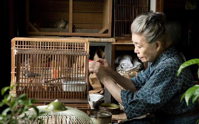 樹木希林最後的訪談——討厭的人,會讓電影更有趣