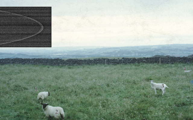 當現實比電影離奇,直播比創作驚人:香港影像創作者看南方影展