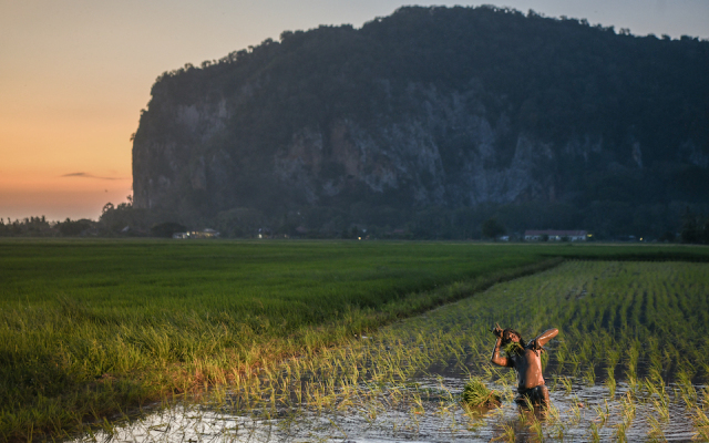 BIOS 選片|《南巫》:童年那一場安靜的降頭