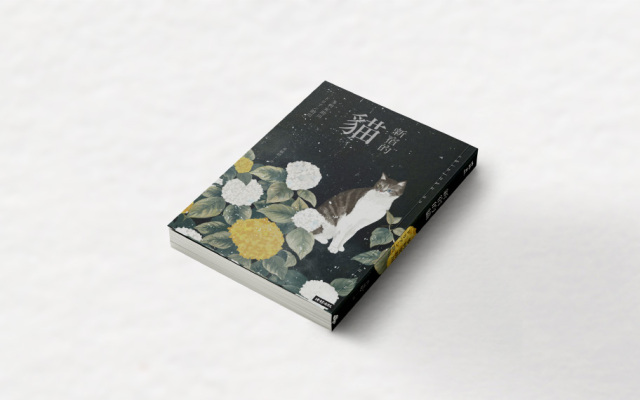 陳又津讀《新宿的貓》:當我們無法拯救任何人時,奇蹟是什麼?