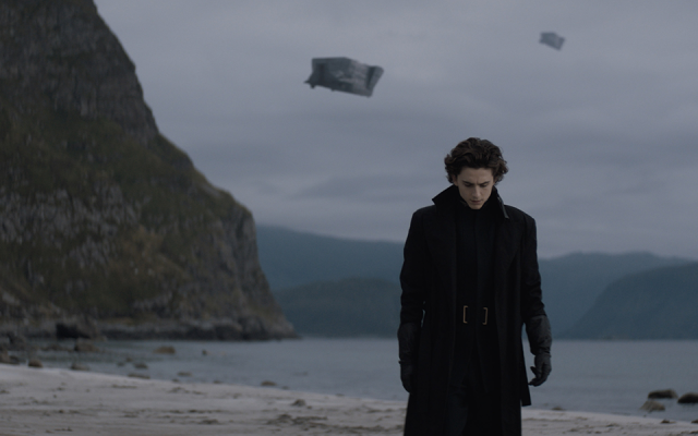 在萬物的衰竭中讚揚生命:《沙丘》