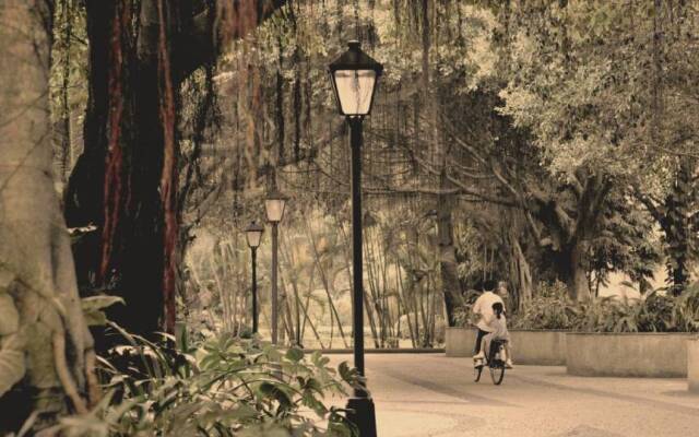 盤踞在「我國」與我身上的鬼魂——羅卓瑤《花果飄零》