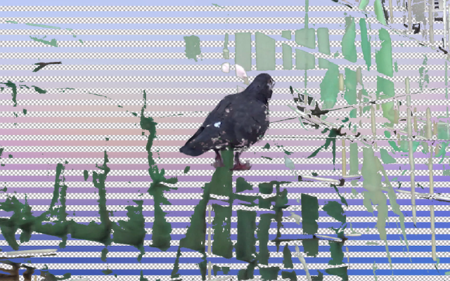 弱影像與破山水──2022 年南方影展中的女性影像美學觀察