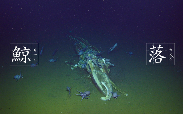 鯨落氾濫中：光是近 5 年，名為〈鯨落〉的文學獎作品至少就有 7 篇⋯⋯