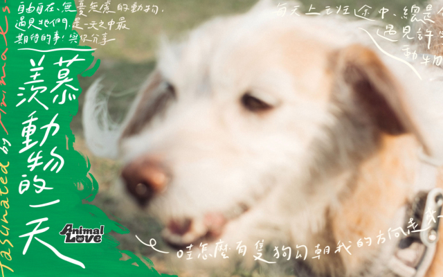 哎,今天,又是羨慕動物的一天